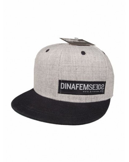 Dinafem Grey Flat Cap