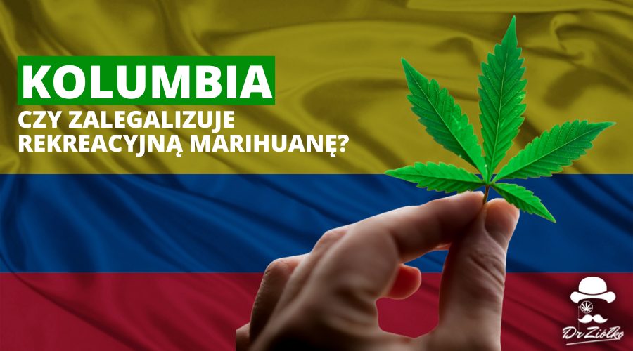 Czy Kolumbia zalegalizuje marihuanę rekreacyjną? Być może już wkrótce!