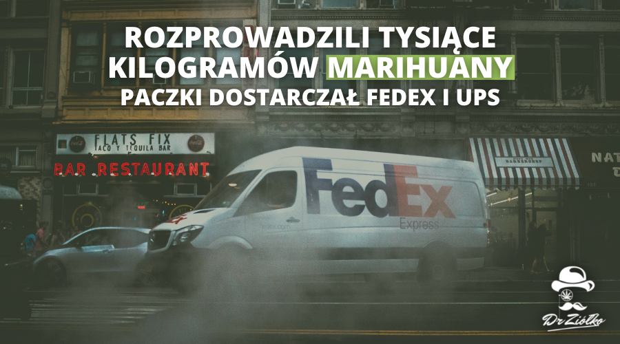 Zarabiali miliony, prowadząc dystrybucję marihuany poprzez FedEx i UPS – dziesiątki zatrzymanych!