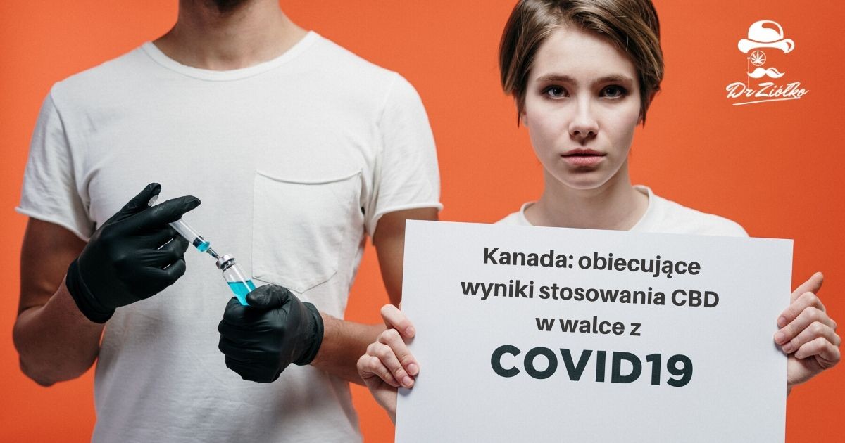 Kanada: CBD może zahamować COVID-19 - Obiecujące badania