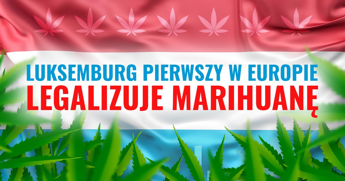 Legalizacja marihuany - Luksemburg pierwszym państwem w Europie!