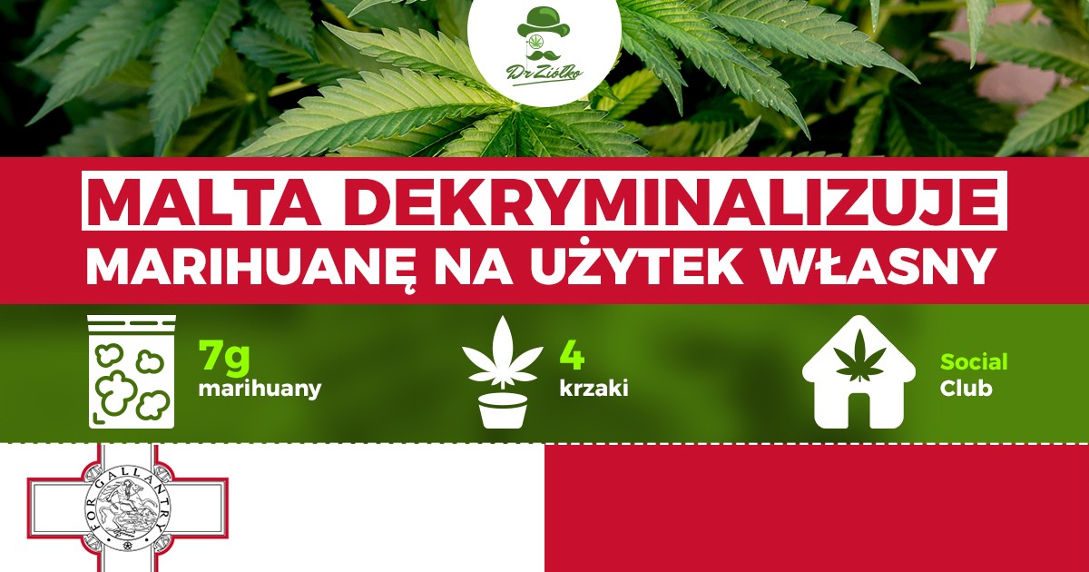 Malta dekryminalizuje marihuanę na użytek własny